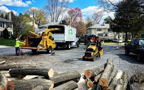 Best Arborist Consultation Services  in Fairmont, IL